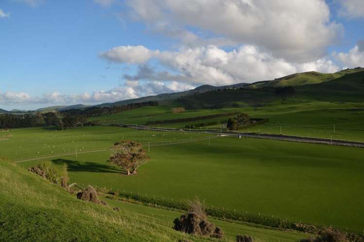 1551 Owaka Valley Road Catlins Surrounds_13