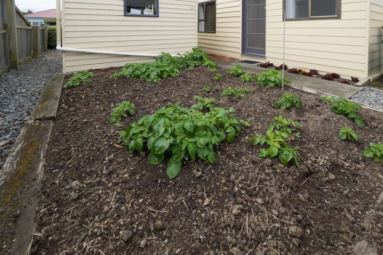 92 Beach Road Hampstead_24