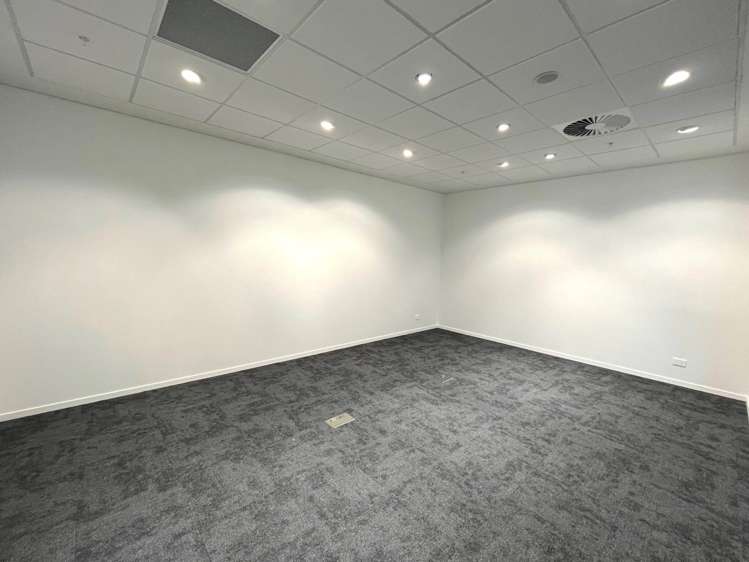 110 Carlton Gore Road Newmarket_9