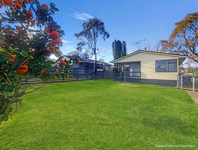 103 Hiskens Place Te Awamutu_1