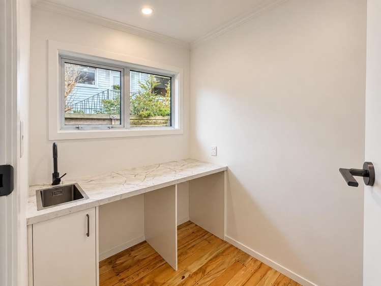 86 Carrington Street Lower Vogeltown_11