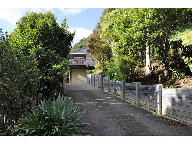 9 Nikau Street Duncan Bay_1