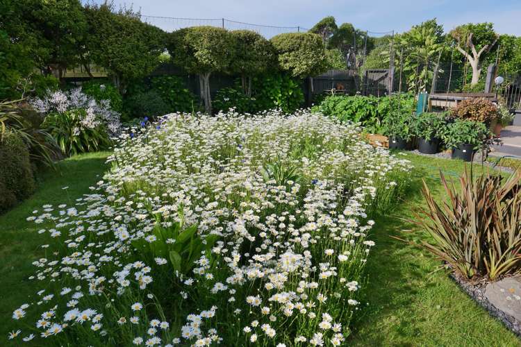 31 Rothwell Street Titahi Bay_25