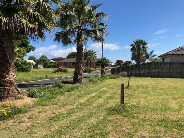 10 Flame Tree Lane Taipa_9