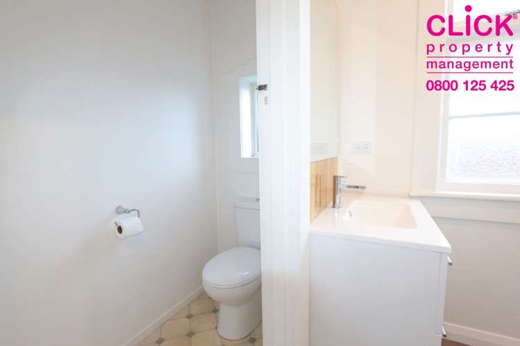 111 Mornington Road Kenmure_6