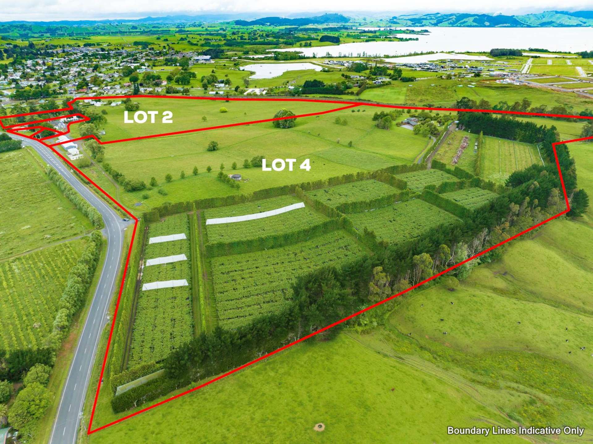 Lot 3 & 4/105 Te Kauwhata Road Te Kauwhata_0