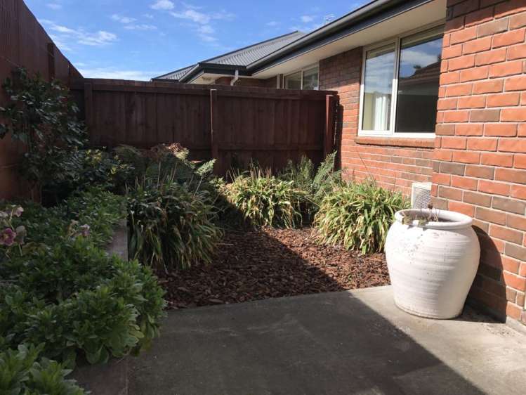 251b Main North Road Redwood_14