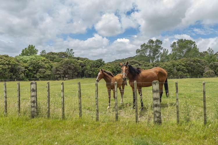 1358 Makirikiri Road Marton_36