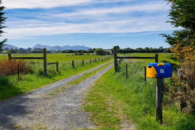 37 Skevingtons Road Hapuku_2