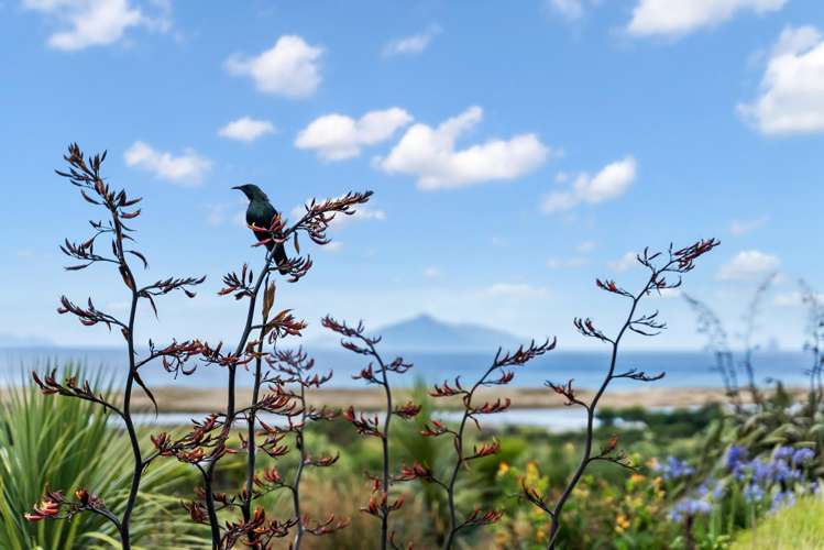 19 Ginty Way Waipu_36