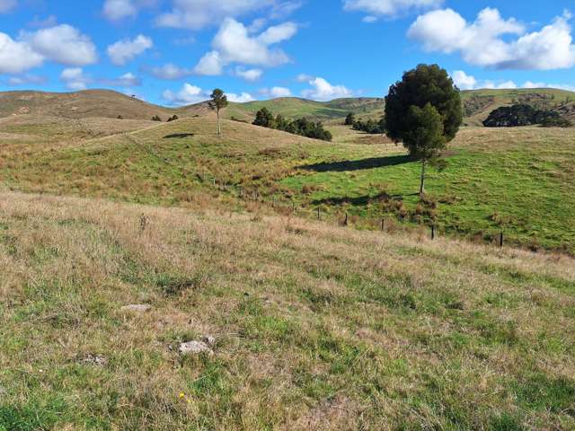 Mangaone Road Pongaroa_1