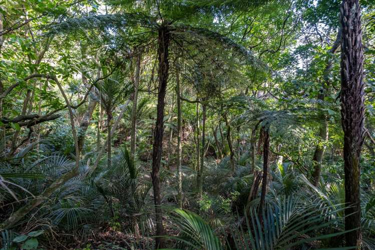 412 Larmer Road Kaitaia_24