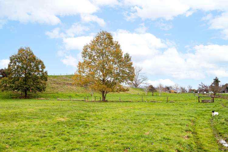 148 Flume Road Te Miro_21