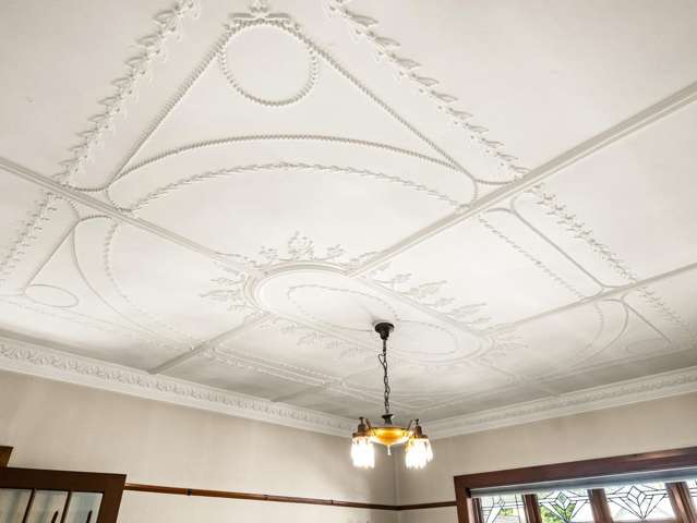 3 Pitt Street North Dunedin_4