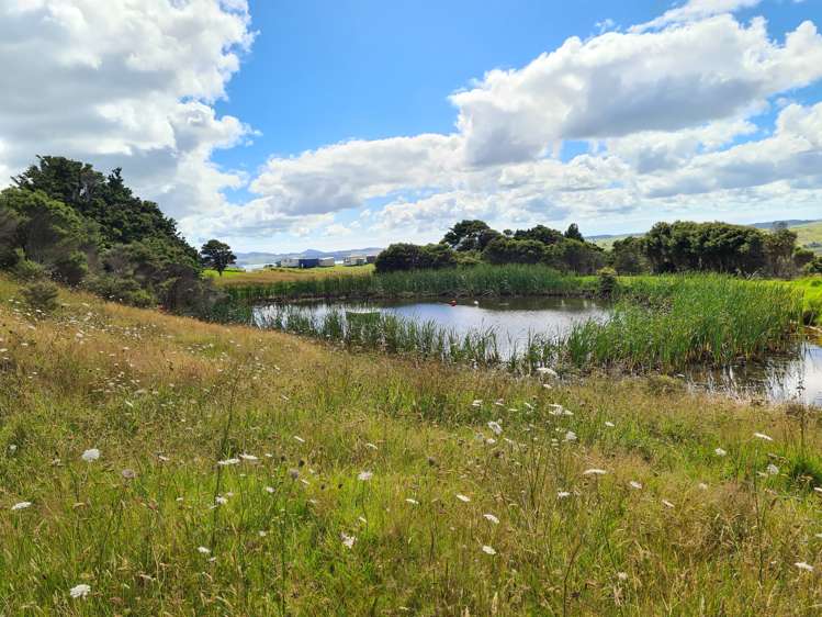 304 Arapaoa Road Tinopai_7