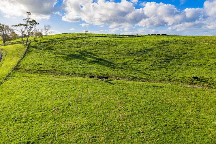 23A Kaitara Lane Kaiwaka_12