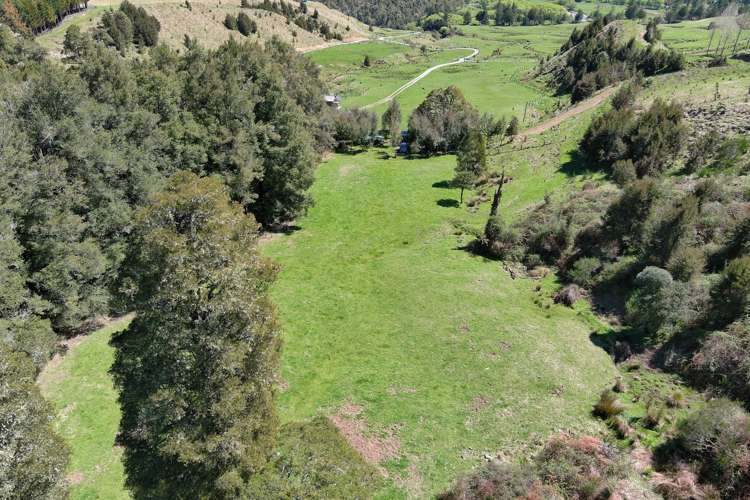 Owen Valley East Road Tasman_11