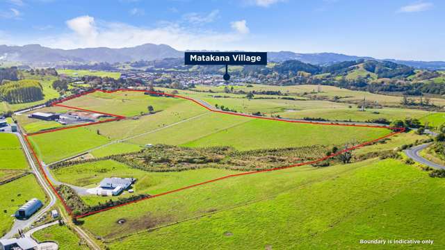 Matakana Edge