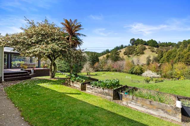 814A Allport Road Paengaroa_4