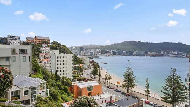 11 Hay Street Oriental Bay_2