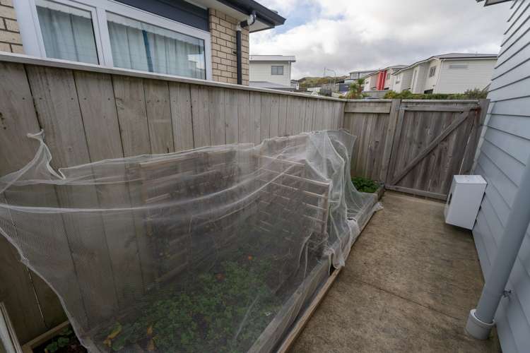 17 Belize Grove Grenada Village_23