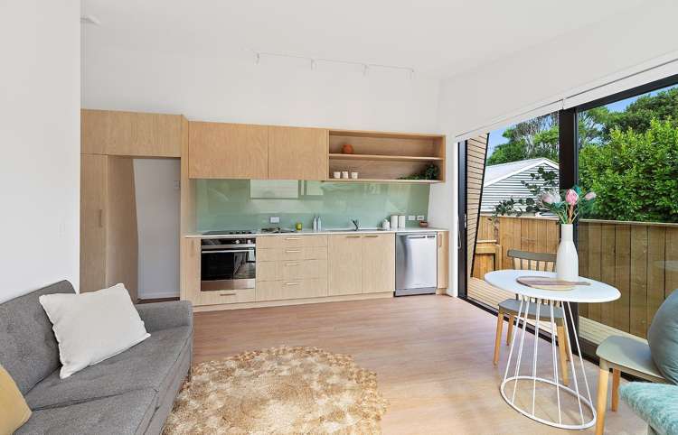 46b Camperdown Road Miramar_5