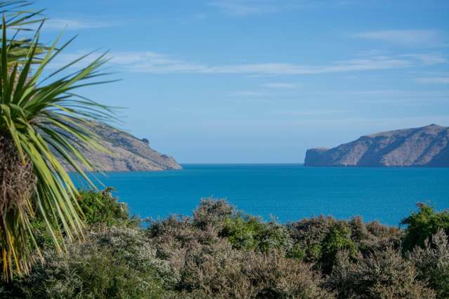 Coastal Elegance Meets Native Paradise