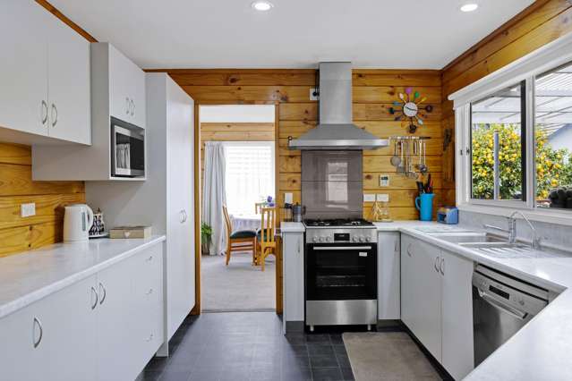 12 Frank Frethey Place Highlands Park_2