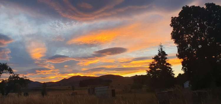 5563 West Coast Road Springfield_16