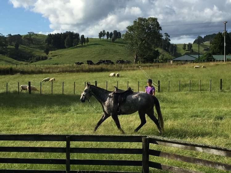 505 Golden Valley Road Waihi_13