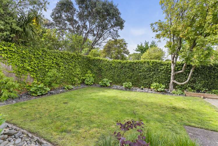 100 Clarence Street Ponsonby_5