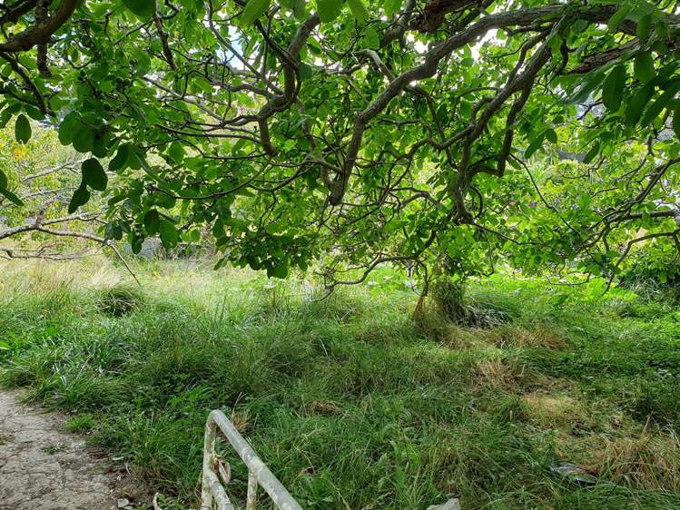 6 Ihupuku Street Waitotara_8