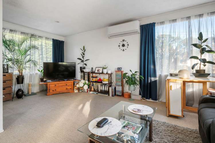 29 Domain Road Glenfield_8