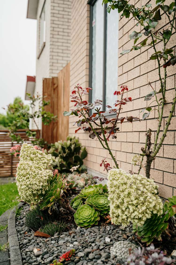 6 Erica Road Flat Bush_25