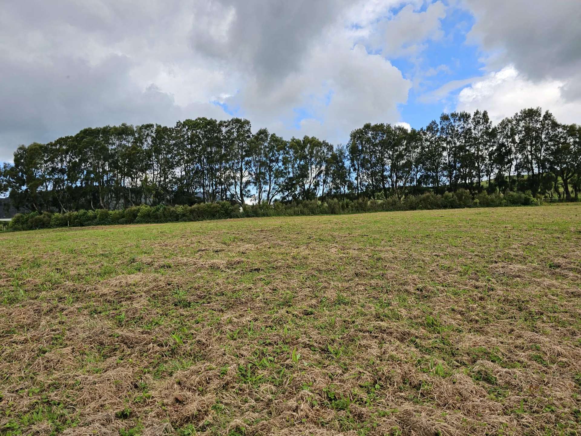 Lot Lot 3 Dodd Road Maungaturoto_0