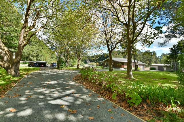 1167 Kahikatea Flat Road Waitoki_1