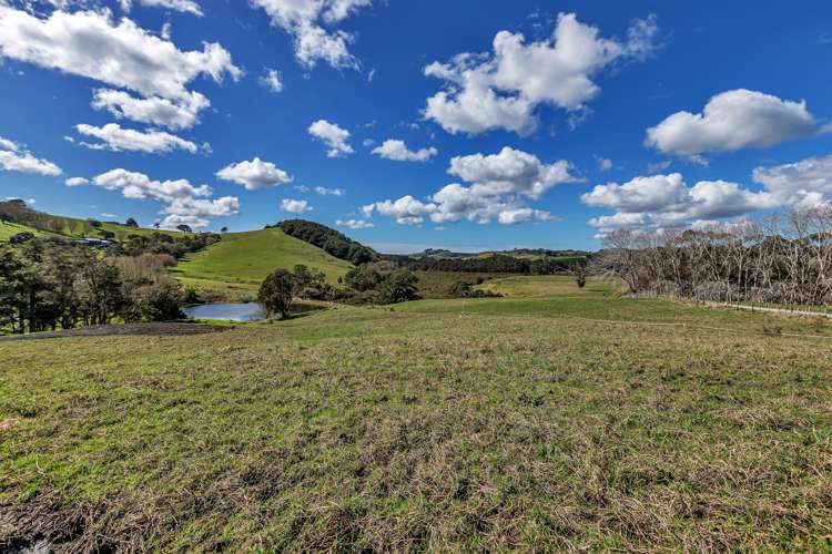 111 Petley Road Paparoa_5
