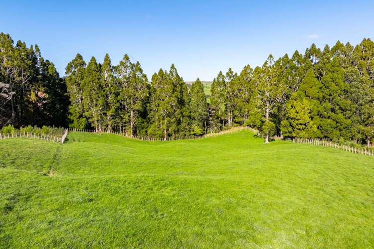 Lots1-7/450 Lawrence Road Mangawhai_22