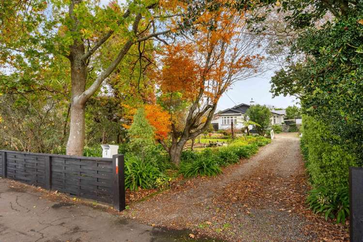 7 Totara Street Lansdowne_25