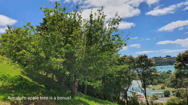 33 Kanuka Road Sandspit_11