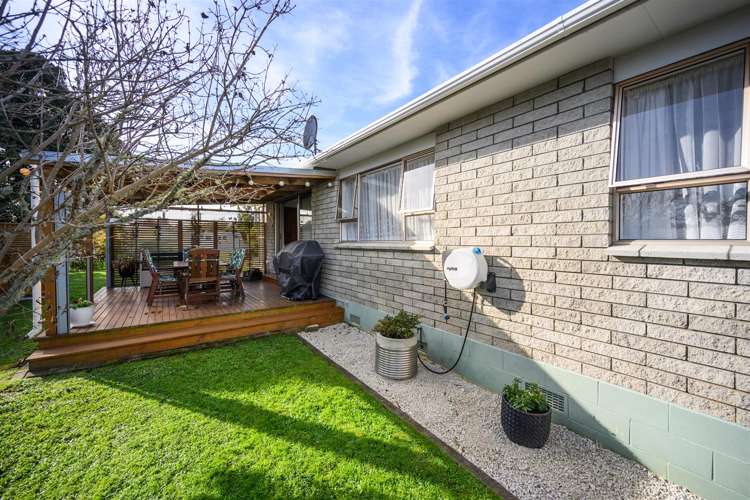 21 Flower Street Bulls_30