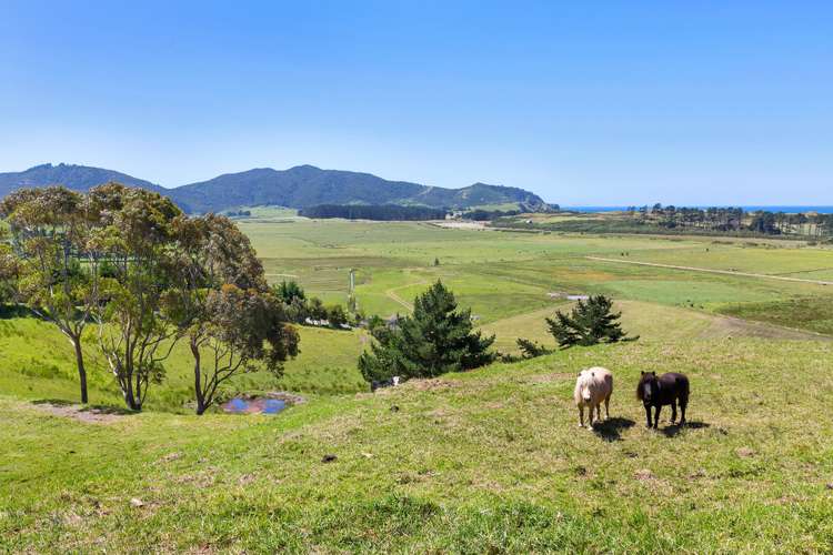 81 Blue Horizon Road Whangarei Heads_1