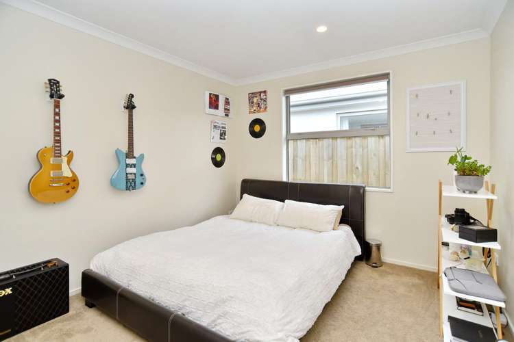 13 Winsloe Street Pegasus_13