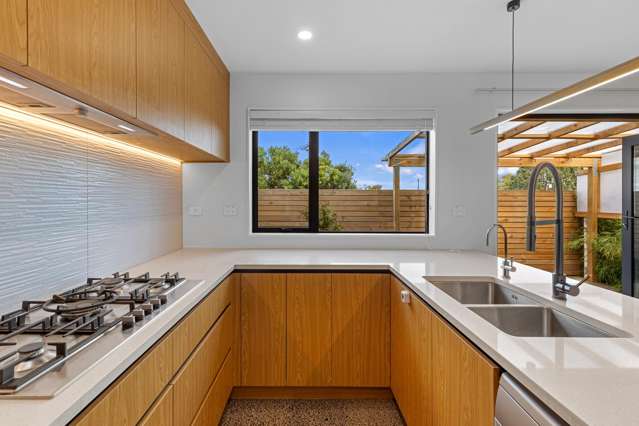 14a Bridge Street Panmure_3