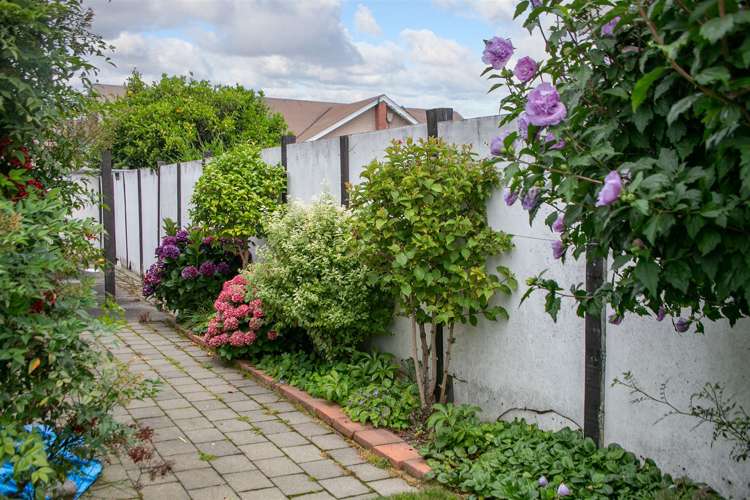 20a Essex Street Masterton_15