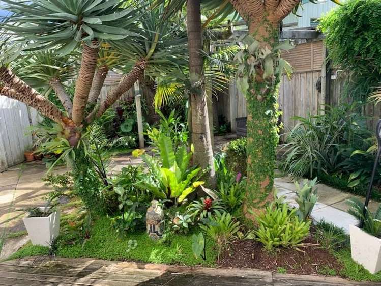 Address withheld Ohope_1