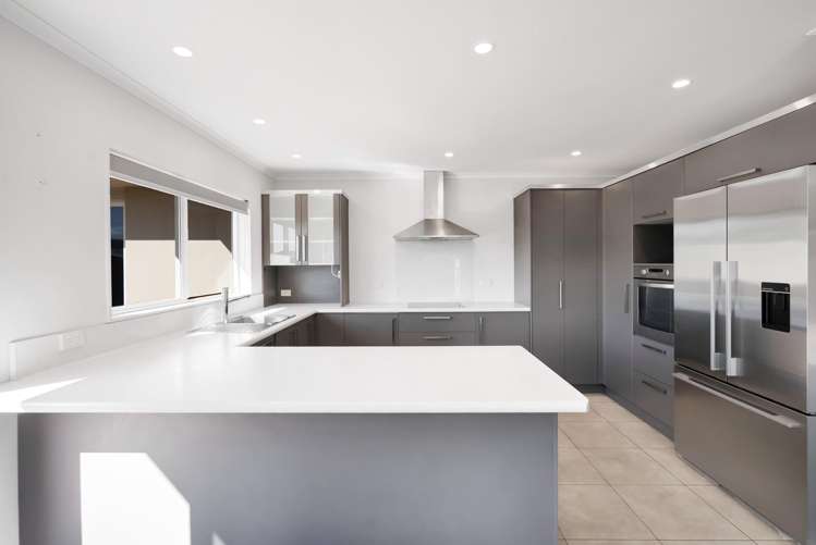 110 Wills Road Bell Block_2