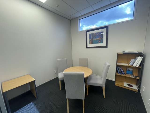 123 Ormiston Road Flat Bush_2