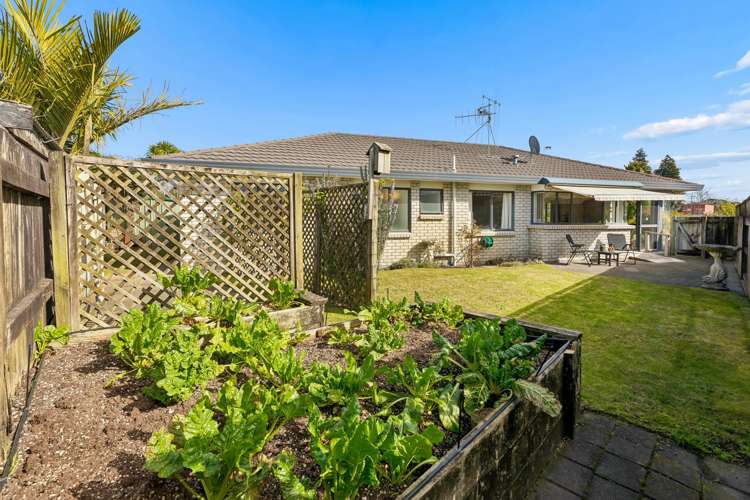 39 Luculia Drive Mt Maunganui_16