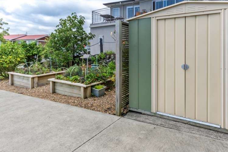 10 Willis Avenue Pukekohe_15